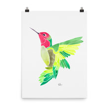 Load image into Gallery viewer, Anna's Hummingbird * Green - Art Print