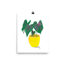 Load image into Gallery viewer, Potted Calathea - Art Print