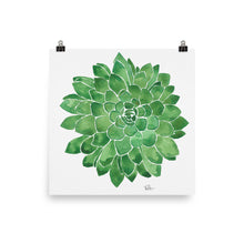 Load image into Gallery viewer, Succulent - Art Print