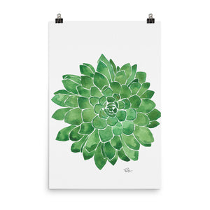 Succulent - Art Print