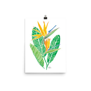 Bird of Paradise - Art Print