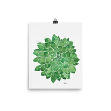 Load image into Gallery viewer, Succulent - Art Print