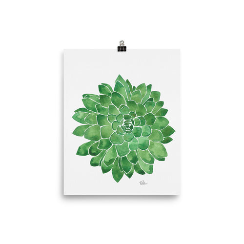 Succulent - Art Print