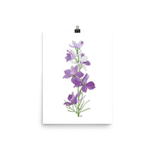 Load image into Gallery viewer, Larkspur - Art Print