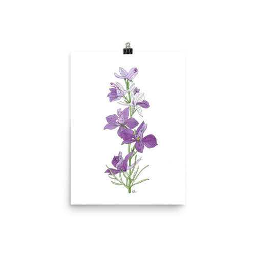 Larkspur - Art Print