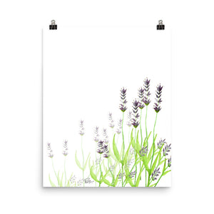 Lavendar - Art Print