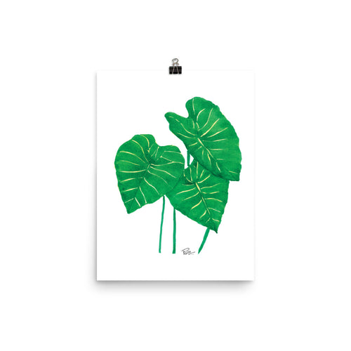 Monstera Leaf bunch - Art Print