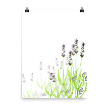 Load image into Gallery viewer, Lavendar - Art Print