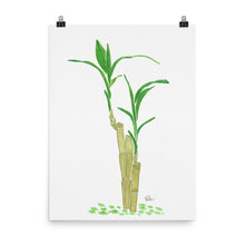 Load image into Gallery viewer, Zen Bamboo - Art Print