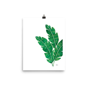 Banana Leaves - Art Print