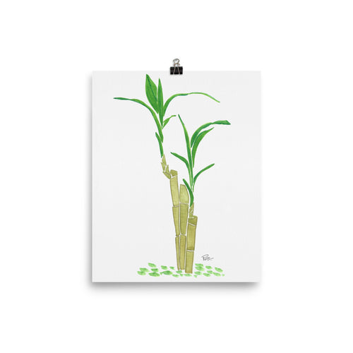 Zen Bamboo - Art Print