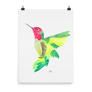 Anna's Hummingbird * Green - Art Print