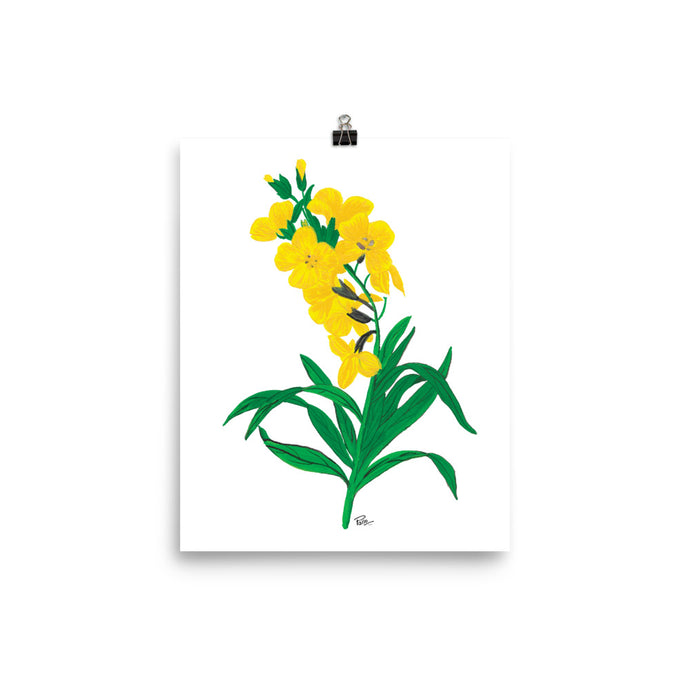 Wallflower - Art Print