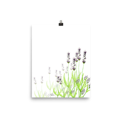 Lavendar - Art Print