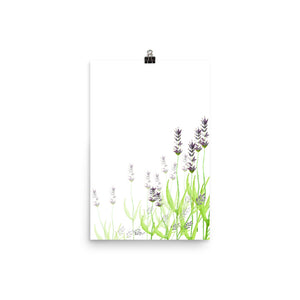 Lavendar - Art Print