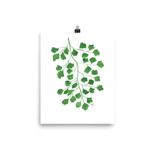 Maidenhair Fern -Art Print