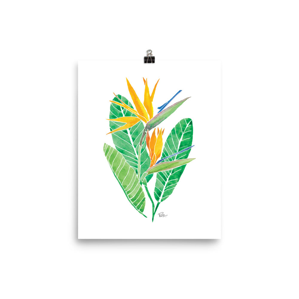 Bird of Paradise - Art Print