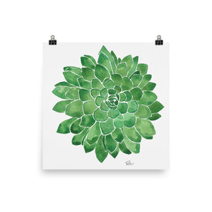 Succulent - Art Print