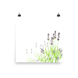 Lavendar - Art Print